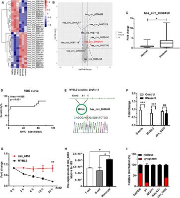 Hsa_circ_0060450 Negatively Regulates Type I Interferon-Induced Inflammation by Serving as miR-199a-5p Sponge in Type 1 Diabetes Mellitus